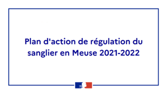 Plan d'action de régulation du sanglier en Meuse 2021-2022